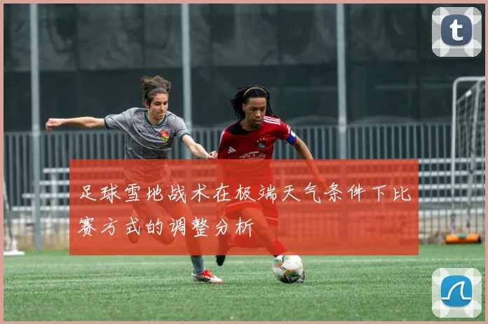 足球雪地战术在极端天气条件下比赛方式的调整分析