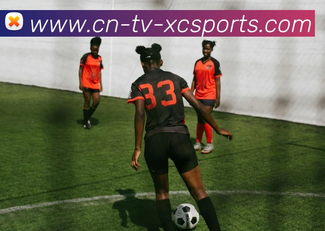 多媒体互动体验