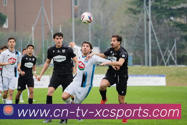 杏彩体育APP 体育赛事宣传图